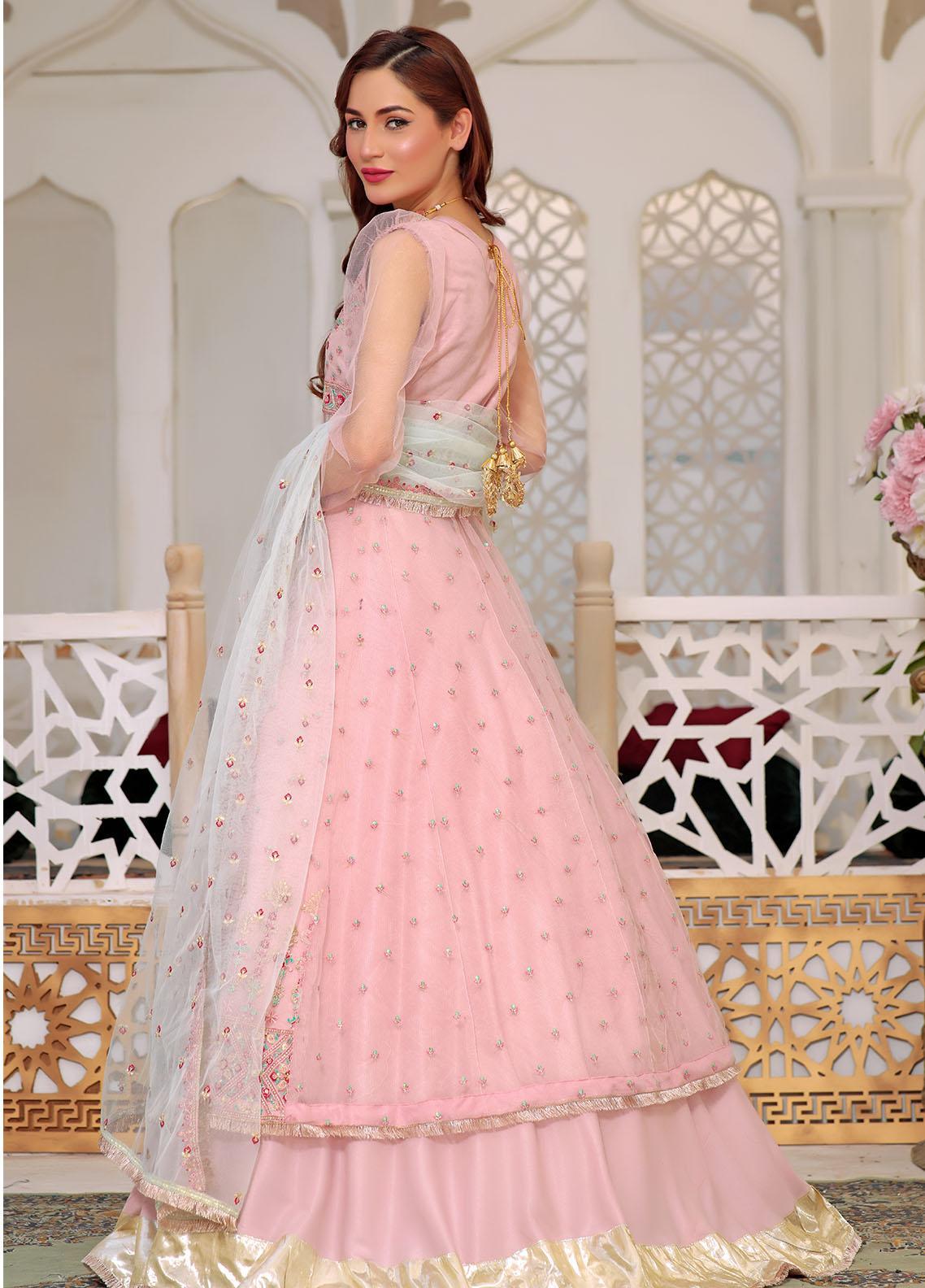 Aaina By Awwal Embroidered Net Suits Unstitched 3 Piece AW23A D-07 Reyna - Luxury Collection